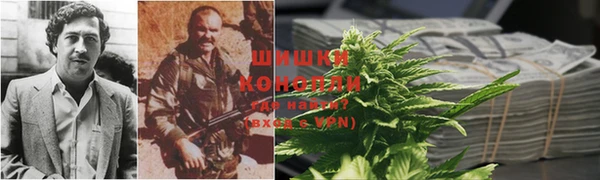 не бодяженный Магас