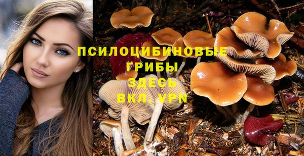 не бодяженный Магас