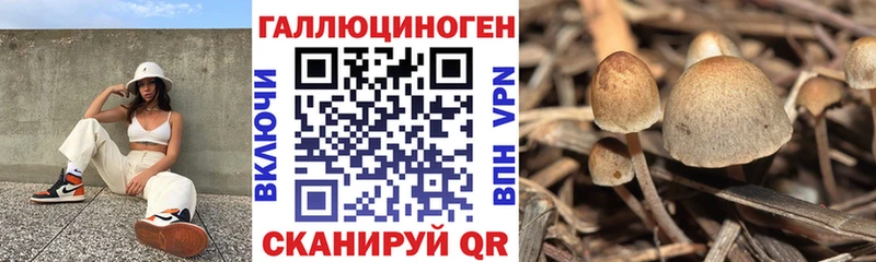 цена наркотик  Покровск  mega ТОР  Галлюциногенные грибы прущие грибы 